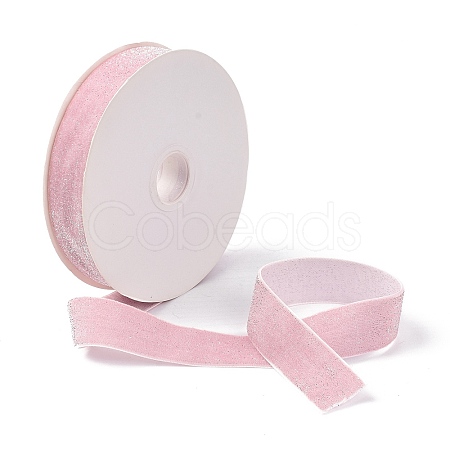 10 Yards Polyester Velvet Ribbon OCOR-C004-05B-1