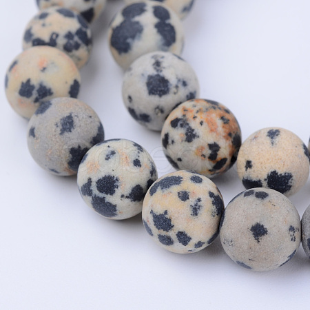 Natural Dalmatian Jasper Beads Strands X-G-Q462-6mm-05-1