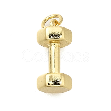 Brass Pendants X-KK-V002-13G-1