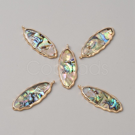 Resin Imitation Abalone Paua Shell Pendants FIND-WH0417-12B-1