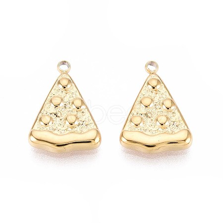 304 Stainless Steel Charms STAS-N109-255G-1
