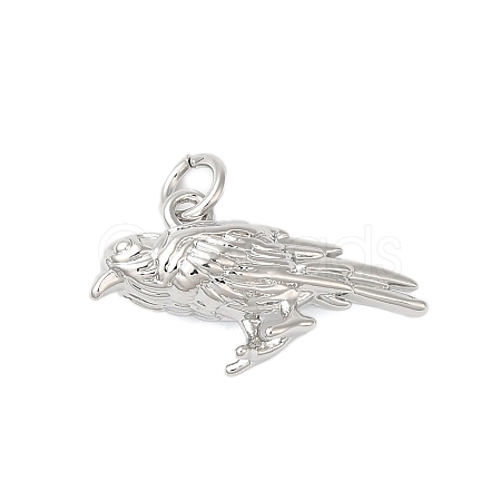 Rack Plating Brass Pendants KK-S372-21P-1