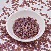 MIYUKI TILA Beads X-SEED-J020-TL134FR-2