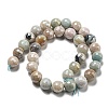 Natural Amazonite Beads Strands G-O164-02-12mm-5