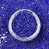 FGB 11/0 Grade A Glass Seed Beads SEED-S030-1024-3