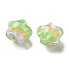 Gradient Color Transparent Hand-drawed Acrylic Beads TACR-P012-01B-11-2