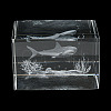 3D Laser Engraving Animal Glass Figurine DJEW-R013-01B-3