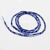 Natural Grade A Sodalite Beads Strands G-G663-21-2mm-2