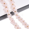 Natural Rose Quartz Beads Strands G-N371-10A-07-1