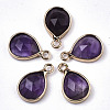 Natural Amethyst Charms G-N326-50B-1