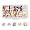 5 Styles Shell Beads SHEL-FH0001-22-1