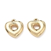 304 Stainless Steel Charms SA-CBA3037-20G-01-1