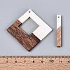 12Pcs 6 Styles Opaque Resin & Walnut Wood Pendants RESI-N053-22-3