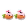 Opaque Resin Cabochons X-RESI-M025-02-2