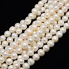 Natural Cultured Freshwater Pearl Beads Strands PEAR-L001-B-07-01-1
