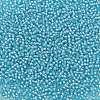 TOHO 11/0 Round Beads X-SEED-TR11-0930-2