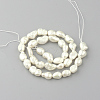 Natural Cultured Freshwater Pearl Beads Strands PEAR-R064-55-2