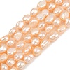 Natural Cultured Freshwater Pearl Beads Strands PEAR-P064-20J-03B-2