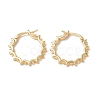 Brass Hoop Earring Finding KK-P223-24G-1