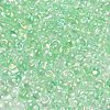 6/0 Inside Colours Fringe Glass Seed Beads SEED-A034-03A-3