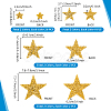 64Pcs 8 Styles Star Glitter Hotfix Rhinestone FIND-PH0023-19-2
