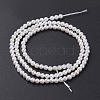 Shell Pearl Bead Strands BSHE-P023-5mm-2