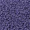 MIYUKI Round Rocailles Beads X-SEED-G009-RR0434-4