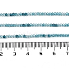 Transparent Glass Beads Strands X-GLAA-H027-01E-5