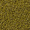MIYUKI Delica Beads SEED-X0054-DB2141-3