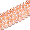 Natural Cultured Freshwater Pearl Beads Strands PEAR-N016-06C-01-2
