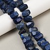 Natural Lapis Lazuli Beads Strands G-F796-D03-01-1