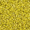 Glass Cylinder Beads SEED-S047-M-003-3