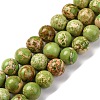 Dyed Natural Regalite/Imperial Jasper/Sea Sediment Jasper Beads Strands G-B124-C03-08-1