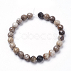Natural Silver Leaf Jasper Beads Strands G-K181-4mm-O01-3