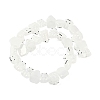 Transparent Glass Enamel Beads Strands GLAA-B021-05A-2