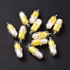 Translucent Plastic Pendants KY-L006-29B-2