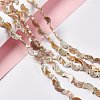 Drawbench Style Natural Freshwater Shell Beads Strands X-SHEL-F003-05-2
