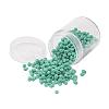 Czech Glass Seed Beads SEED-JP0005-63130-1