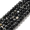 Synthetic Turquoise and Sea Shell Assembled Beads Strands G-D482-01D-01-2