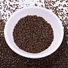 MIYUKI Delica Beads X-SEED-J020-DB0461-2