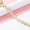 Handmade Lampwork Beads Strands LAMP-D015-11A-4