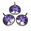 Natural Amethyst Pendants G-E529-A02-2