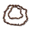Natural Petrified Wood Beads Strands G-M205-89-2