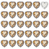 30Pcs Brass with Glass Sew on Rhinestone FIND-FG0004-73B-1
