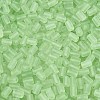 FGB Frosted Transparent Glass Seed Beads SEED-N013-05A-08-3