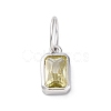 925 Sterling Silver Cubic Zirconia Charms STER-NH0014-01P-08-1