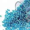 TOHO 11/0 Round Beads SEED-XTR11-0023BF-1