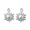 304 Stainless Steel Charms STAS-Z121-12P-1