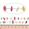 Handmade Dyed Shell Beads Chains CHS-T006-14P-A-3