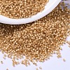 MIYUKI Delica Beads X-SEED-J020-DB2171-1